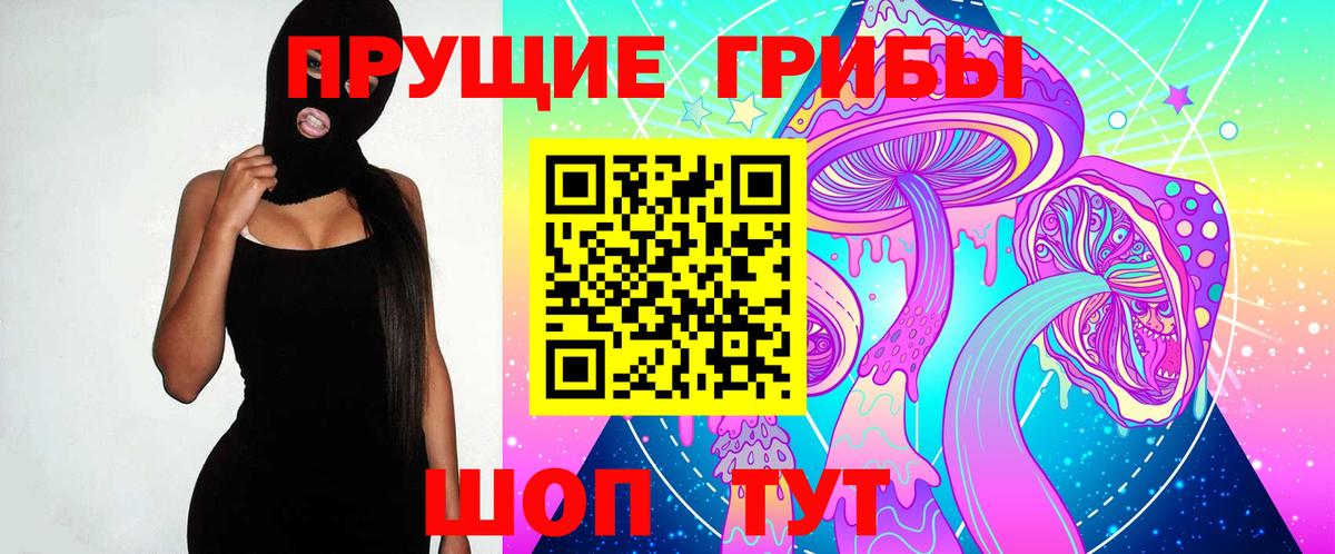Галлюциногенные грибы прущие грибы Дмитров
