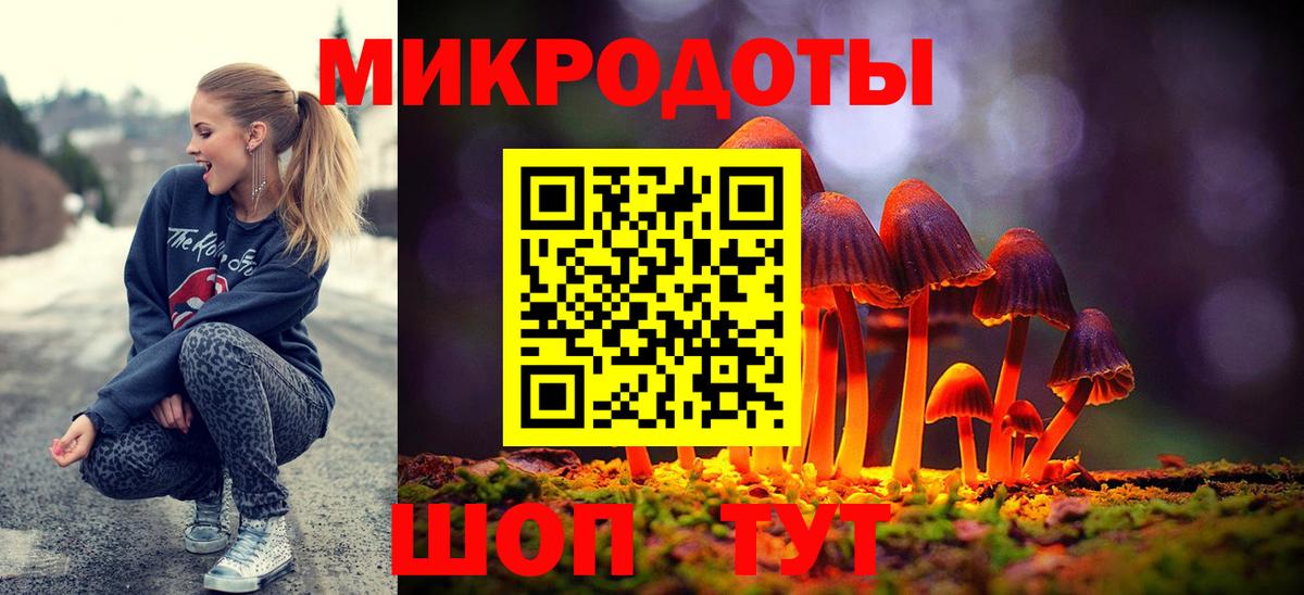 Дмитров  Псилоцибиновые грибы мухоморы  Вход с VPN 